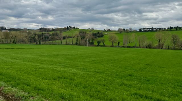 Colombella’s Culinary Treasures - Italian travel guide for Colombella